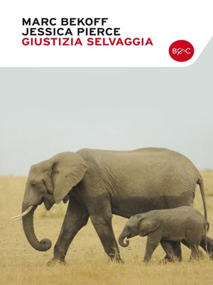 cover image of Giustizia selvaggia